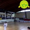 festaprimav2012_10